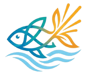 AviSpark
